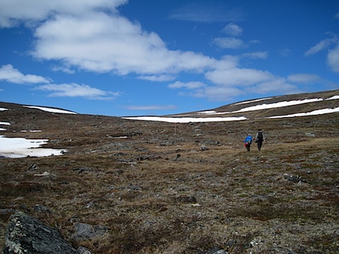 Abisko Juni 2009 dag 4 - 08.jpg